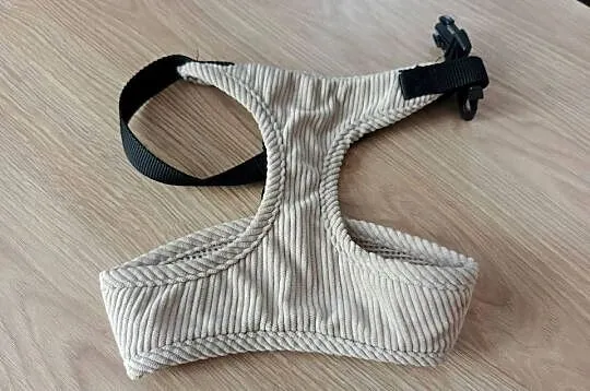 *Szelki dla psa*, Śląskie, Bytom