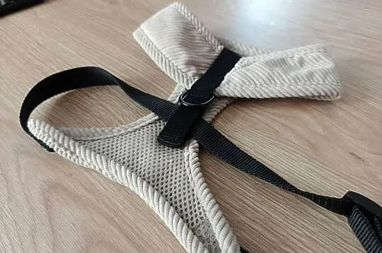 *Szelki dla psa*, Śląskie, Bytom