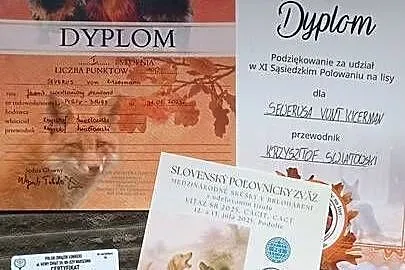 Jamnik Szorstkowłosy Standardowy ZKWP FCI, Łódzkie, Skierniewice