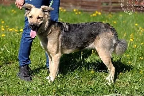 Atena - piękne dzieciątko :),  warmińsko-mazurskie
