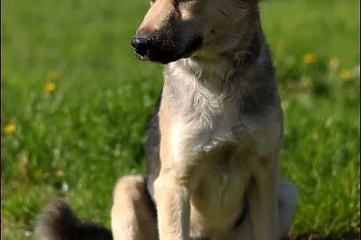 Atena - piękne dzieciątko :),  warmińsko-mazurskie