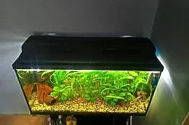 Akwarium Rybki Filtry Grzałka Pokrywa Szafka Żwirek 100x40x62
