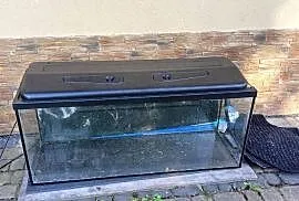 Akwarium 240 l