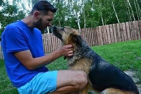 PRADA młoda, radosna sunia wygląda jak szorstkowło