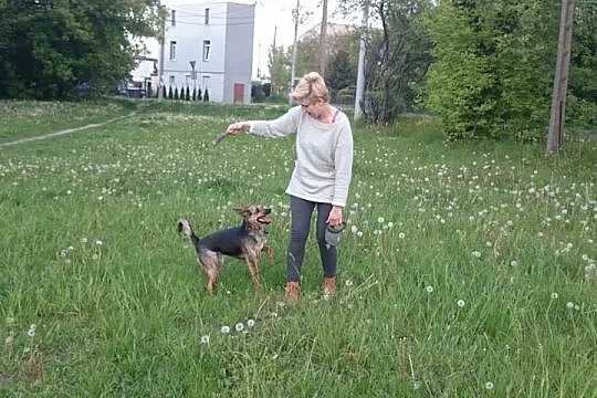 Roczna, aktywna i łagodna suczka, Mili do adopcji