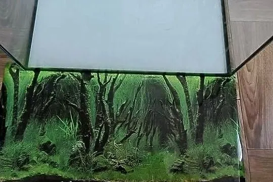 Akwarium 50 L, Śląskie, Garnek