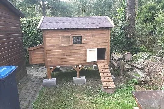 Kurnik dla kur, Małopolskie, Jordanów