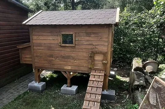 Kurnik dla kur, Małopolskie, Jordanów