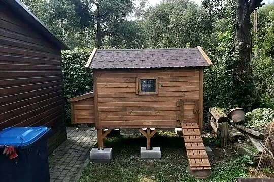 Kurnik dla kur, Małopolskie, Jordanów