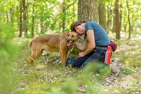 Wena Piękna wrażliwa sunia marzy o kochającym i od