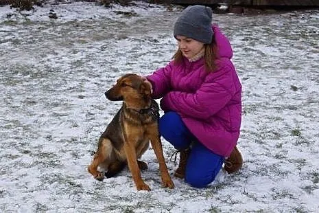 Fanta młoda  sunia szuka domu!,  Kundelki cała Pol