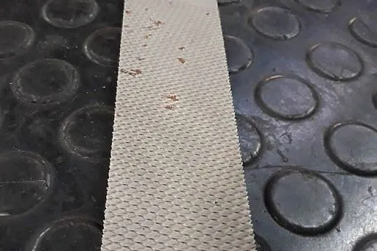 Tarnik do kopyt z rączką 35 cm dwie powierzchnie, Łódzkie, Wieluń