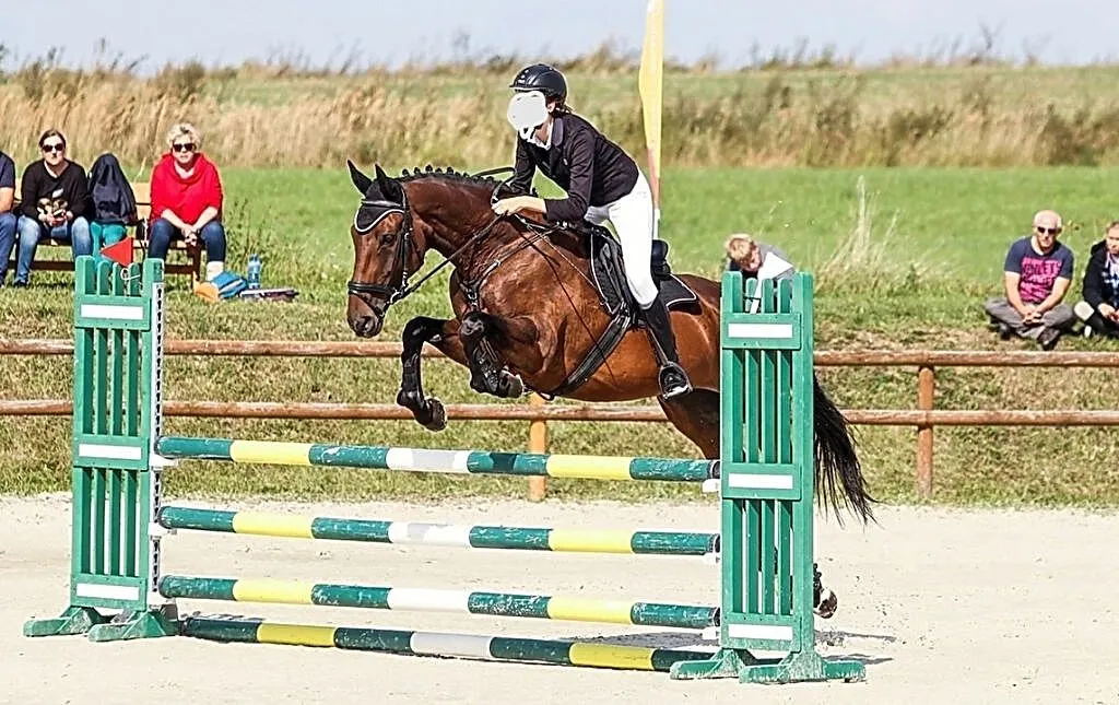 AQHA Sprzedam, , Drezdenko