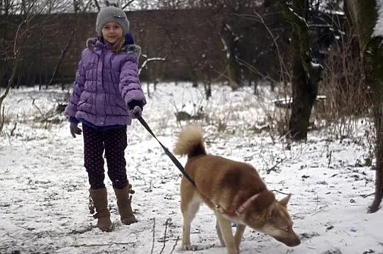 Zjawiskowa, wesoła, 12 miesięczna suczka w typie h