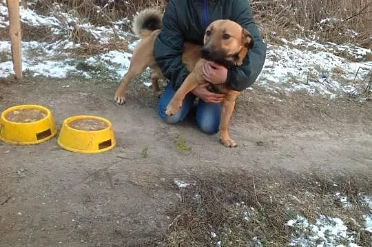 Drakuś szuka rodziny