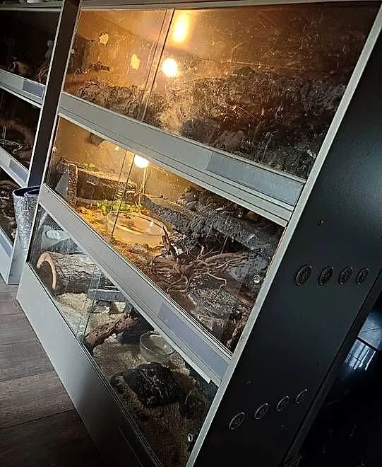 Potrójne terrarium 120cm x 125cm x 50cm.3w1 Wentylacja, ścianki, wystrój, Dolnośląskie, Wrocław