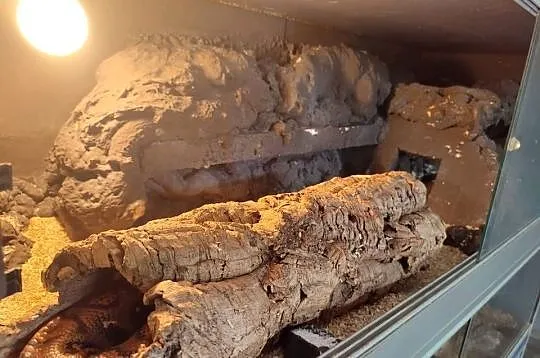 Potrójne terrarium 120cm x 125cm x 50cm.3w1 Wentylacja, ścianki, wystrój, Dolnośląskie, Wrocław