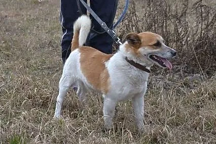 Julek jest piękny, ale i tak siedzi za  kratami. N