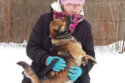 Psiak ze schroniska w Skierniewicach o wielkim ser