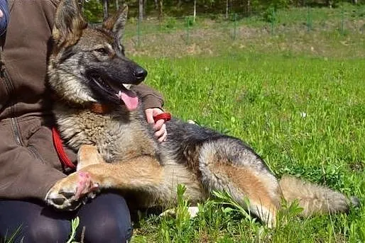 Ciekawa świata, młodziutka Kasja :), warmińsko-mazurskie Olsztyn