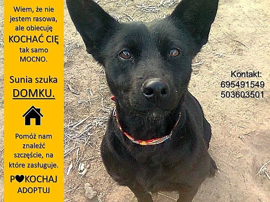 Młodziutka, gładkowłosa Rita, czarnowłosa piękność