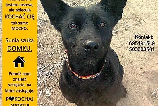 Młodziutka, gładkowłosa Rita, czarnowłosa piękność