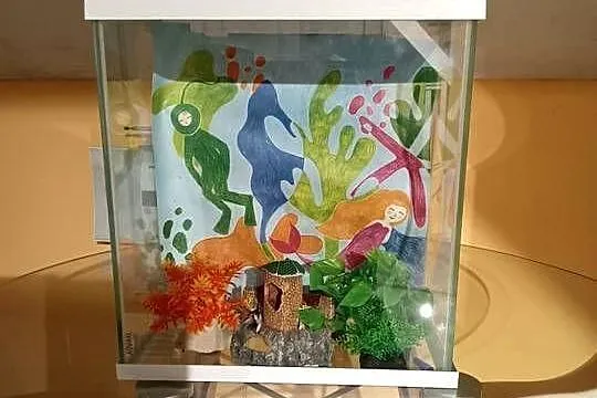 Sprzedam Akwarium Wraz z Akcesoriami Okazja Polecam