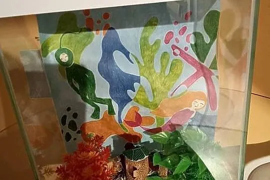 Sprzedam Akwarium Wraz z Akcesoriami Okazja Polecam, Kujawsko-pomorskie, Golub-Dobrzyń