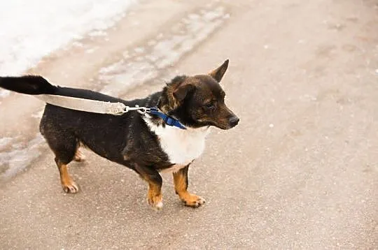 Zgredek, dzieciolubny, wesoły, niezwykle przyjazny