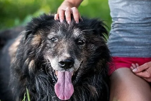 Nie czekaj, zadzwoń już dziś! Aslan czeka właśnie 