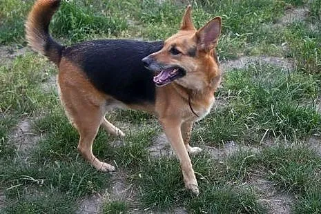 Sarunia cudna niunia do pokochania od zaraz :),  ł