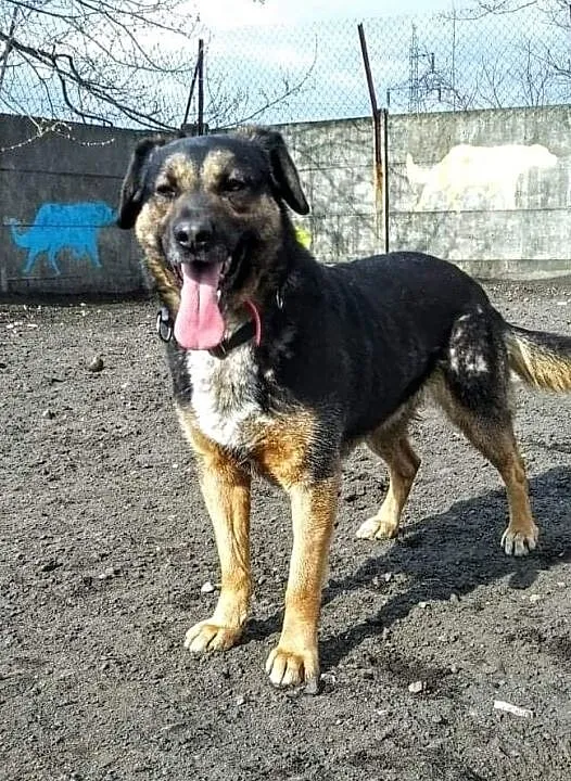 Kto pokocha Ciapka?, Łódzkie, Tomaszów Mazowiecki