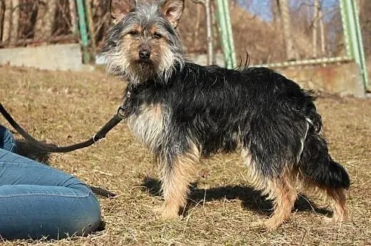 Znajdź Zumi!,  kujawsko-pomorskie Bydgoszcz