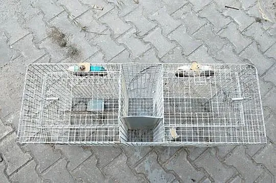 Klatki, Wielkopolskie, Zbąszyń