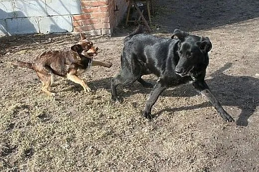 Jestem bezdomny. Proszę zmień to!,  dolnośląskie W