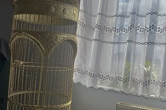 Klatka, , Kórnik