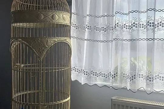 Klatka, , Kórnik