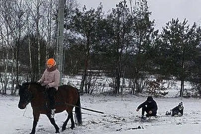 Klacz idealna pod dzieci i dorosłych, Podkarpackie, Nienowice