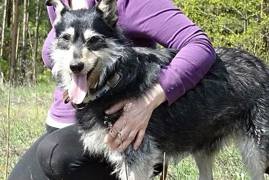 Pokochaj Kokosa daj mu domek o jakim marzy, Mazowieckie, Płock