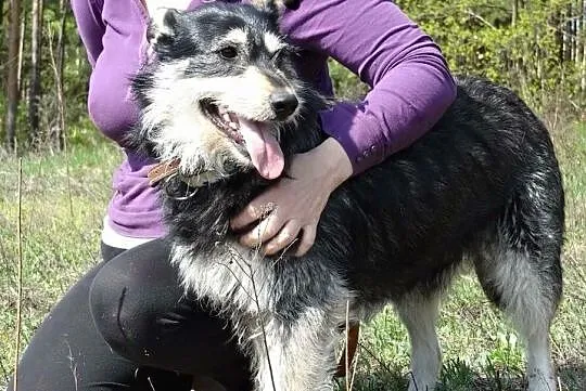 Pokochaj Kokosa daj mu domek o jakim marzy, Mazowieckie, Płock