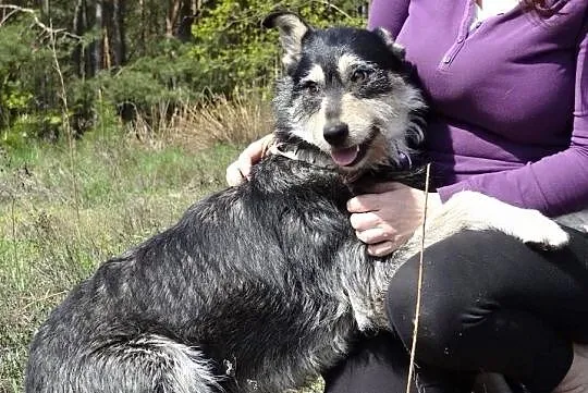 Pokochaj Kokosa daj mu domek o jakim marzy, Mazowieckie, Płock