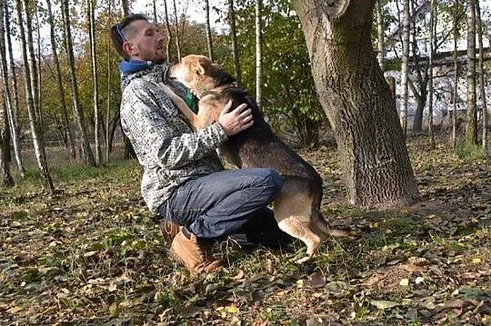 NELA piękna sunia mix owczarek, mądra, łagodna wyp
