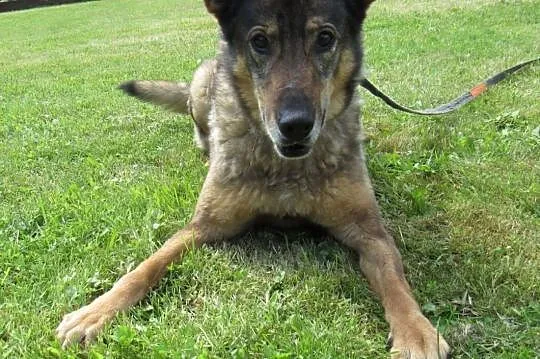 TOBI Szuka Fajnej Pani Lub Pana :),  mazowieckie Warszawa, Mazowieckie, Warszawa