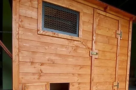 Kurniki dla kur, Śląskie, Częstochowa