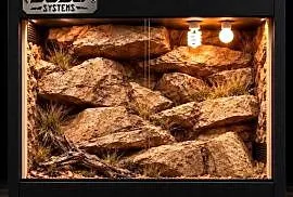 Terrarium specjalistyczne dla agamy brodatej żółwia greckiego