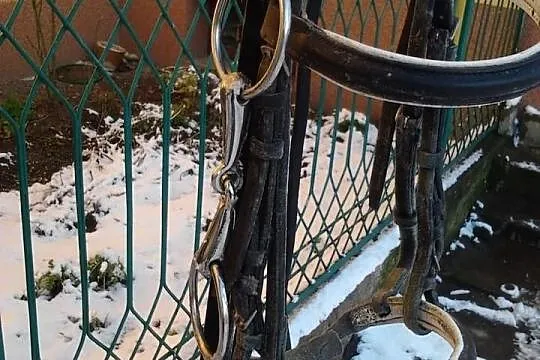Sprzedam Siodło