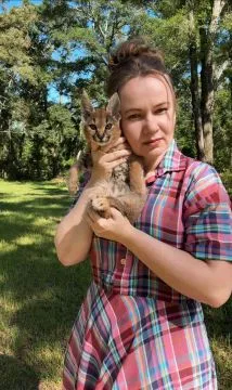 kocięta caracat f1 serwal i karakal urocze savannah, , Warszawiaki