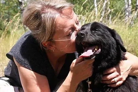 Radosny, bardzo grzeczny i nieduży! Gustaw, super pies do adopcji,  Kundelki cała Polska
