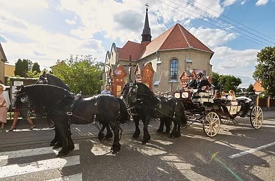 Sprzedam czwórkę ogierów rasy fryzyjskiej wraz z karetą typu Landauer, , Mieścisko