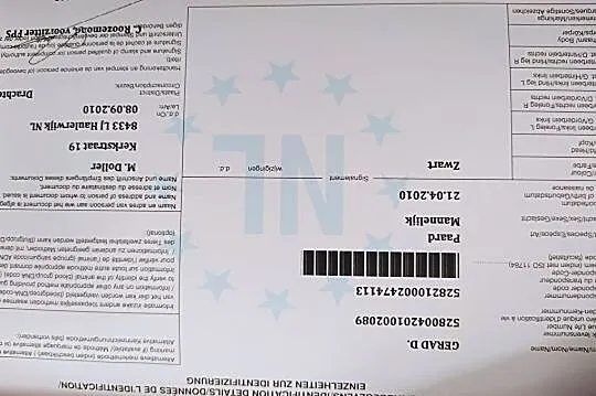 Sprzedam czwórkę ogierów rasy fryzyjskiej wraz z karetą typu Landauer, , Mieścisko